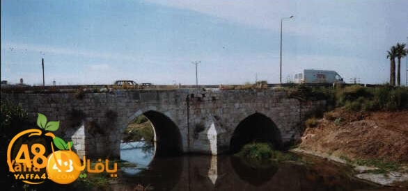 lud ramla 0507 (9).jpg